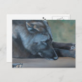 Carte postale Black Wolf Art (Devant / Derrière)