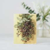 Carte Postale "Blackberries" par Paul de Longpré (Debout devant)