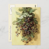 Carte Postale "Blackberries" par Paul de Longpré (Devant / Derrière)