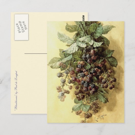 Carte Postale "Blackberries" par Paul de Longpré (Devant / Derrière)