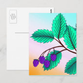 Carte Postale Blackberries sur une branche (Devant / Derrière)