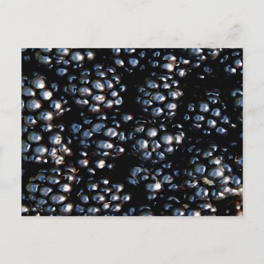 Carte Postale Blackberry (Devant)