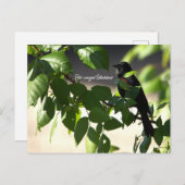 Carte postale Blackbird à ailes rouges (Devant / Derrière)