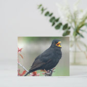 Carte Postale Blackbird assis dans un arbre (Debout devant)