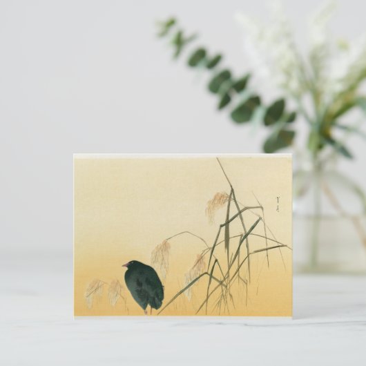 Carte Postale Blackbird, période Edo (Debout devant)