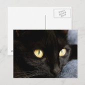 Carte Postale Blackcat (Devant / Derrière)