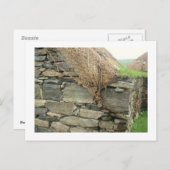 Carte Postale Blackhouse - Gearannan, île de Lewis (Devant / Derrière)