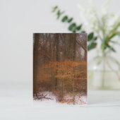 Carte Postale Blacklick Park (Debout devant)