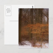 Carte Postale Blacklick Park (Devant / Derrière)