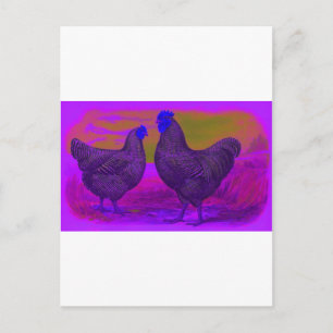 Carte Postale BlackLight