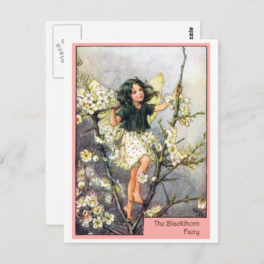Carte Postale Blackthorn Fairy (Devant / Derrière)