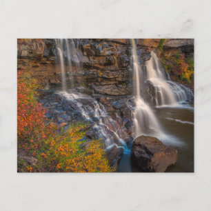 Carte Postale Blackwater Falls State Park Virginie-Occidentale
