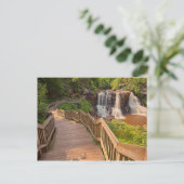 Carte postale Blackwater Falls State Park West Vir (Debout devant)