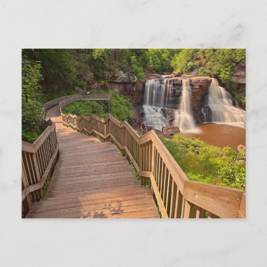 Carte postale Blackwater Falls State Park West Vir (Devant)