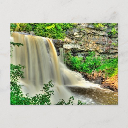 Carte Postale Blackwater Falls, Virginie-Occidentale (Devant)