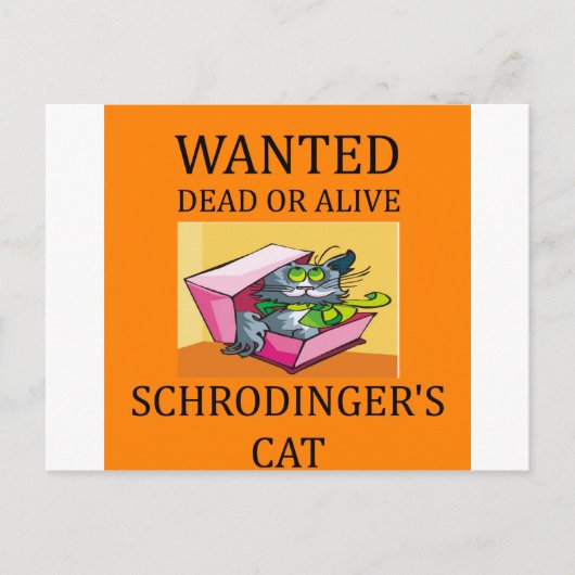 Carte Postale blague de chat de schrodinger (Devant)