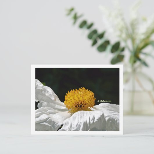 Carte Postale Blanc avec jaune (Debout devant)