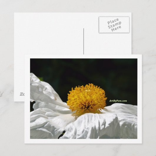 Carte Postale Blanc avec jaune (Devant / Derrière)