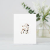 Carte Postale Blanc caniche standard (Debout devant)