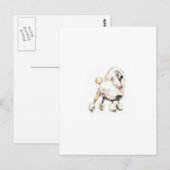 Carte Postale Blanc caniche standard (Devant / Derrière)