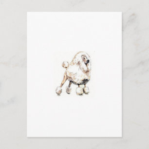 Carte Postale Blanc caniche standard