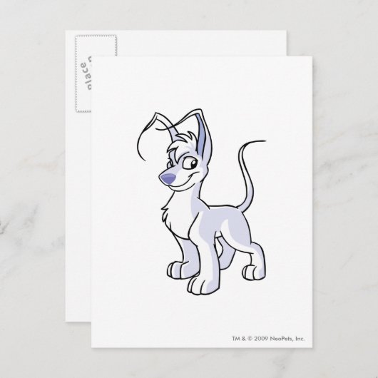 Carte Postale Blanc de Gelert (Devant / Derrière)