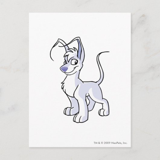 Carte Postale Blanc de Gelert (Devant)