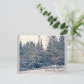 Carte Postale Blanc d'hiver (Debout devant)