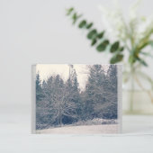Carte Postale Blanc hiver (Debout devant)