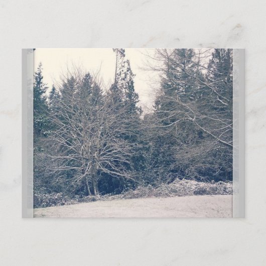 Carte Postale Blanc hiver (Devant)