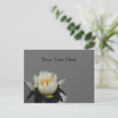 Carte Postale Blanc Lotus Water Lily Fleur Nature (Debout devant)