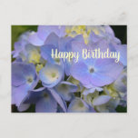Carte postale blanche<br><div class="desc">Hydrangea birthday greeting postcard with scripture template on back. Made for a friend's birthday with scripture from Proverbs 17:17 which rein part, "A friend loves at times". The pretty flower image on the front is of a lavender blue hydrangea flower. "Happy Birthday" on the front can be changed, et the...</div>
