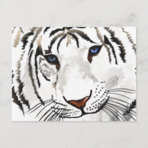 Carte postale blanche