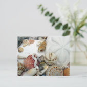 Carte postale blanche à deux dollars de sable (Debout devant)