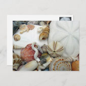 Carte postale blanche à deux dollars de sable (Devant / Derrière)