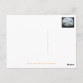 Carte postale blanche à deux dollars de sable (Dos)