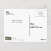 Carte postale blanche à l'aigle de guerre et à la (Dos)