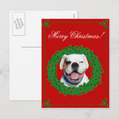 Carte postale blanche de boxeur de Noël (Devant / Derrière)