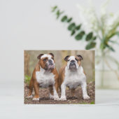 Carte postale blanche de Chien Chien Chien Chien C (Debout devant)