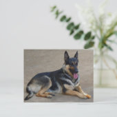 Carte postale blanche de chien chiot berger allema (Debout devant)