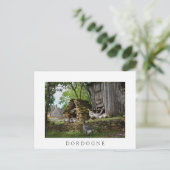 Carte postale blanche de la ferme d'oie de foie gr (Debout devant)