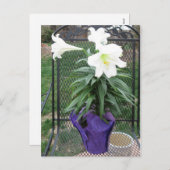 Carte postale blanche de lis de Pâques (Devant / Derrière)