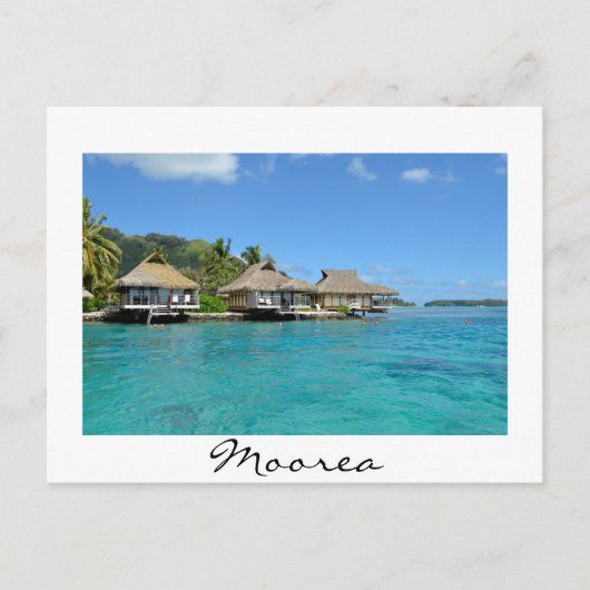 Carte postale blanche des bungalows Moorea (Devant)
