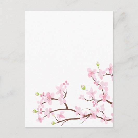 Carte postale blanche en fleurs de cerisier rose (Devant)