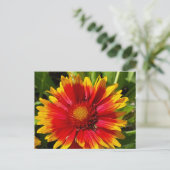 Carte postale Blanche Fleur (Debout devant)