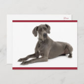 Carte postale blanche pour Chien Chien à Chien à D (Devant / Derrière)