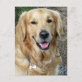 Carte postale blanche pour Chien Chien Chien Chien (Devant)