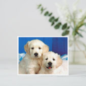 Carte postale blanche pour Chien Chien Chien Chien (Debout devant)