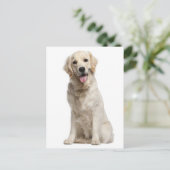 Carte postale blanche pour Chien Chien Chien Chien (Debout devant)