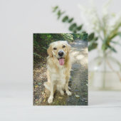 Carte postale blanche pour Chien Chien Chien Chien